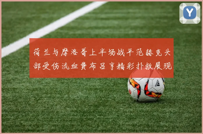 荷兰与摩洛哥上半场战平范赫克头部受伤流血费布吕亨精彩扑救展现实力